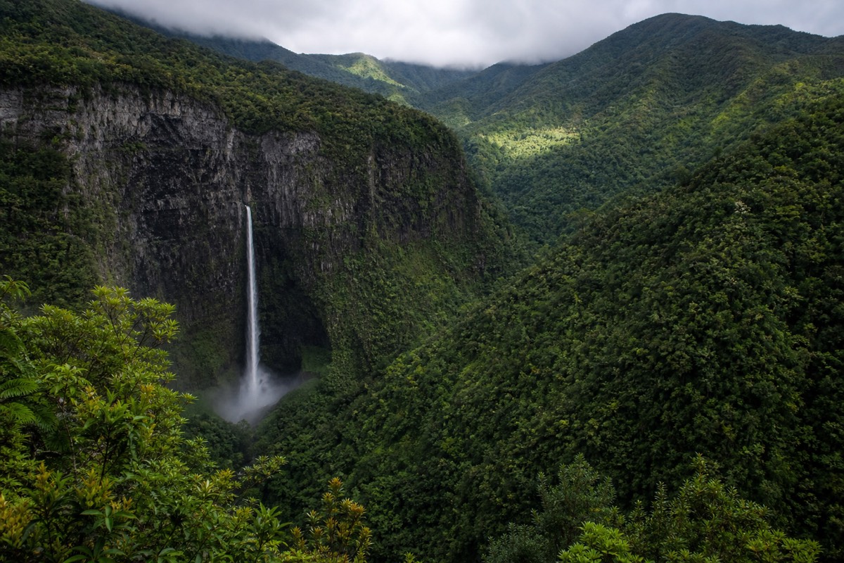 Rainy season Kauai horseback rides, horses standing on a wet trail beneath a waterfall in Hanapepe valley