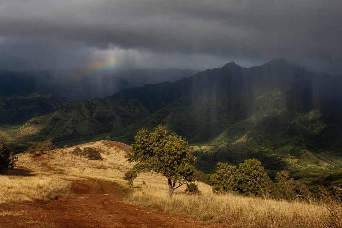 Rain clouds gathering over Kauai's green ridgeline while dry red-dirt pasture stays in sunlight below